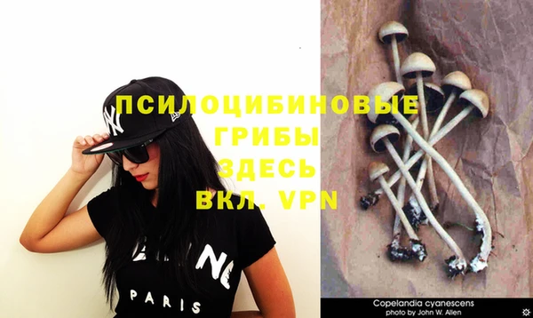 прущие крисы Дмитровск