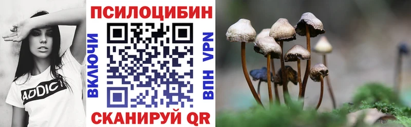 Купить где  Краснозаводск  Псилоцибиновые грибы Psilocybe 